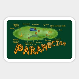 Paramecium-with structures labeled Sticker